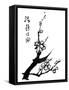 Chinese Painting Of Flowers, Plum Blossom, On White Background-elwynn-Framed Stretched Canvas