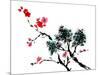 Chinese Painting Of Flowers, Plum Blossom, On White Background-elwynn-Mounted Art Print