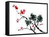 Chinese Painting Of Flowers, Plum Blossom, On White Background-elwynn-Framed Stretched Canvas