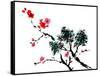 Chinese Painting Of Flowers, Plum Blossom, On White Background-elwynn-Framed Stretched Canvas