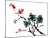 Chinese Painting Of Flowers, Plum Blossom, On White Background-elwynn-Mounted Art Print