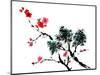 Chinese Painting Of Flowers, Plum Blossom, On White Background-elwynn-Mounted Art Print