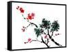 Chinese Painting Of Flowers, Plum Blossom, On White Background-elwynn-Framed Stretched Canvas