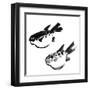 Chinese Painting Of Swellfish On White Background-elwynn-Framed Art Print