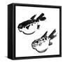 Chinese Painting Of Swellfish On White Background-elwynn-Framed Stretched Canvas