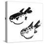 Chinese Painting Of Swellfish On White Background-elwynn-Stretched Canvas