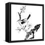 Chinese Painting , Plum Blossom And Bird, On White Background-elwynn-Framed Stretched Canvas