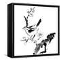 Chinese Painting , Plum Blossom And Bird, On White Background-elwynn-Framed Stretched Canvas