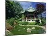 Chinese Pavilion by a Pond in the Golden Gate Park in San Francisco, California, USA-Tomlinson Ruth-Mounted Photographic Print