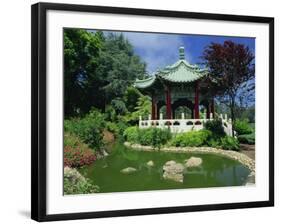 Chinese Pavilion by a Pond in the Golden Gate Park in San Francisco, California, USA-Tomlinson Ruth-Framed Photographic Print