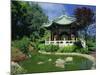 Chinese Pavilion by a Pond in the Golden Gate Park in San Francisco, California, USA-Tomlinson Ruth-Mounted Photographic Print