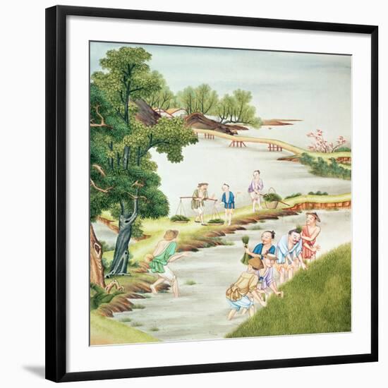 Chinese Peasants Harvesting Rice, Company Artist, Probably 19th Century-null-Framed Giclee Print