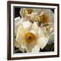 Chinese Peonies Trio-Elizabeth Horning-Framed Giclee Print