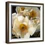 Chinese Peonies Trio-Elizabeth Horning-Framed Giclee Print