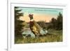 Chinese Pheasant, Oregon Game Bird-null-Framed Premium Giclee Print