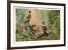 Chinese Pheasants, Idaho-null-Framed Premium Giclee Print