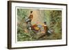 Chinese Pheasants, Idaho-null-Framed Art Print