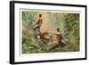 Chinese Pheasants, Idaho-null-Framed Art Print