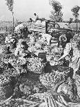 Chinese Food Production: Ripe Tomatoes, 1959-Chinese Photographer-Giclee Print