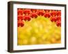 Chinese Red Lantern Decoration in Yellow Background-sevenke-Framed Photographic Print