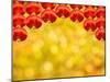 Chinese Red Lantern Decoration in Yellow Background-sevenke-Mounted Photographic Print