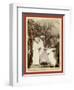Chinese Service. Burial Service of High Lee-John C. H. Grabill-Framed Giclee Print
