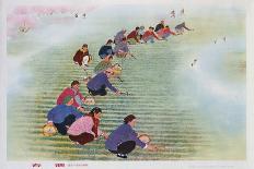 Spring Scything, 1974 (Colour Litho)-Chinese-Stretched Canvas