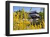 Chinese Tea House in the Chinese Garden, Luisenpark, Mannheim, Baden-Wuerttemberg,Germany-null-Framed Art Print