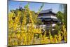 Chinese Tea House in the Chinese Garden, Luisenpark, Mannheim, Baden-Wuerttemberg,Germany-null-Mounted Art Print