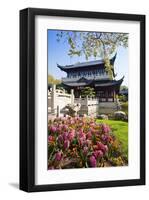 Chinese Tea House in the Chinese Garden, Luisenpark, Mannheim, Baden-Wuerttemberg,Germany-null-Framed Art Print