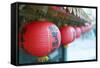 Chinese Temple, Jiufen, Taiwan, Asia-Christian Kober-Framed Stretched Canvas