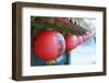 Chinese Temple, Jiufen, Taiwan, Asia-Christian Kober-Framed Photographic Print
