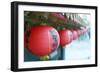 Chinese Temple, Jiufen, Taiwan, Asia-Christian Kober-Framed Photographic Print