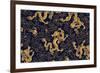 Chinese Traditional Golden Dragon and Peony Pattern-Kevin Leng Ker Lun-Framed Art Print