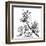 Chinese Traditional Ink Painting, Bamboo On White Background-elwynn-Framed Art Print