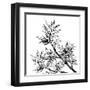 Chinese Traditional Ink Painting, Bamboo On White Background-elwynn-Framed Art Print