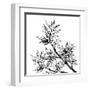 Chinese Traditional Ink Painting, Bamboo On White Background-elwynn-Framed Art Print