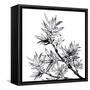 Chinese Traditional Ink Painting, Bamboo On White Background-elwynn-Framed Stretched Canvas