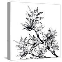 Chinese Traditional Ink Painting, Bamboo On White Background-elwynn-Stretched Canvas