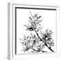 Chinese Traditional Ink Painting, Bamboo On White Background-elwynn-Framed Art Print