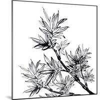 Chinese Traditional Ink Painting, Bamboo On White Background-elwynn-Mounted Art Print