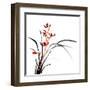 Chinese Traditional Ink Painting Of Orchid On White Background-elwynn-Framed Art Print