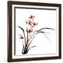 Chinese Traditional Ink Painting Of Orchid On White Background-elwynn-Framed Art Print