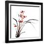 Chinese Traditional Ink Painting Of Orchid On White Background-elwynn-Framed Art Print