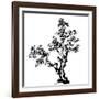 Chinese Traditional Ink Painting, Pine Tree On White Background-elwynn-Framed Art Print