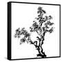 Chinese Traditional Ink Painting, Pine Tree On White Background-elwynn-Framed Stretched Canvas
