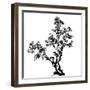 Chinese Traditional Ink Painting, Pine Tree On White Background-elwynn-Framed Art Print