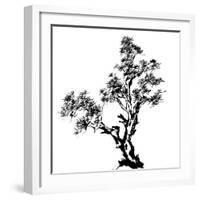 Chinese Traditional Ink Painting, Pine Tree On White Background-elwynn-Framed Art Print