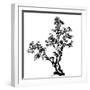 Chinese Traditional Ink Painting, Pine Tree On White Background-elwynn-Framed Art Print