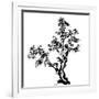 Chinese Traditional Ink Painting, Pine Tree On White Background-elwynn-Framed Art Print